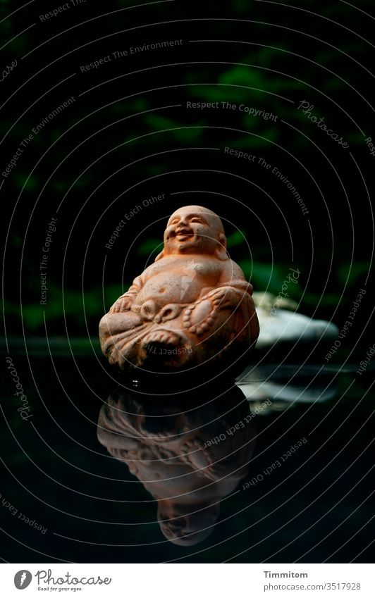 find one's way Buddha Figure Tone Religion and faith Philosophy Worldview Buddhism Meditation Zen Statue Wisdom Glass table reflection Garden Banal Cliche