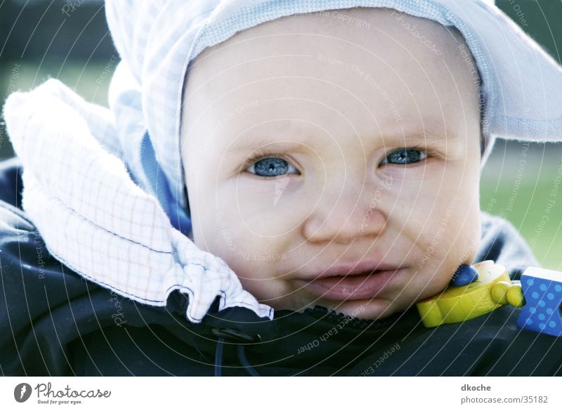 Mick Baby Portrait photograph Man 8 months Boy (child) Face