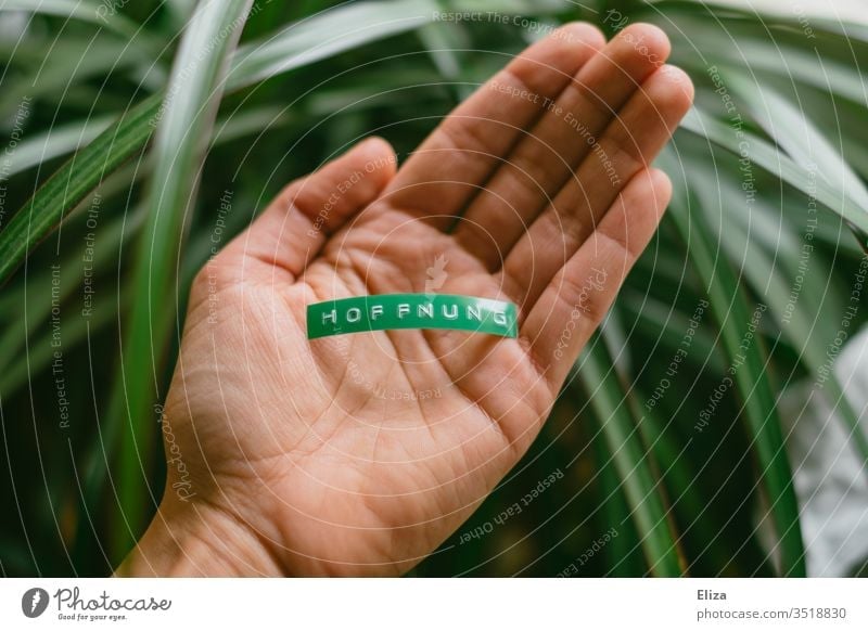 A person holds a green sign with hope in his hand Hope Climate nature conservation by hand stop Word Text Letters (alphabet) writing Label