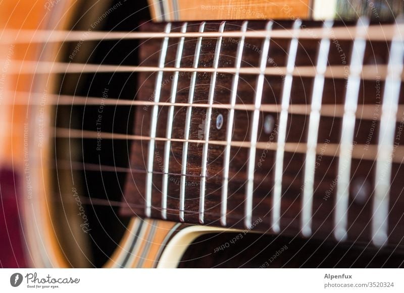 Device for | triad Guitar Music Musical instrument string Macro (Extreme close-up) String instrument Close-up Acoustic Sound Make music Shallow depth of field