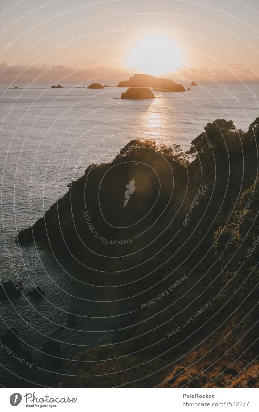 #AS# Sea meets sun Sunrise Cliff steep coast Rock seascape New Zealand pretence Meditative Dream Paradise Water Reflection Coast Nature Horizon Ocean