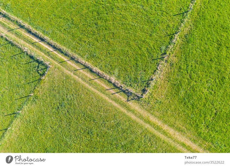 spring fields and fences from above fields from above animal fences agricultural agricultural way tractor tractor path field background meadow background air