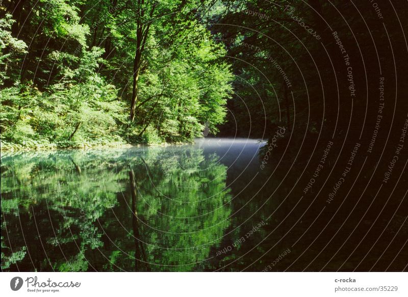 reflection Green Mirror Fog Source Croatia Environmental protection Water River Primordial