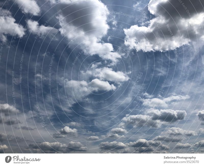 Cloudy sky on a sunny summer day Sky Clouds Blue sky Summer Summer's day Exterior shot Nature Sunlight Clouds in the sky Dramatic art dramatic sky Freedom