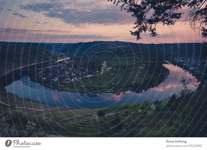 Moselle loop at dusk Mosel (wine-growing area) River Vacation & Travel Tourism Landscape Colour photo Wine growing Panorama (View) Rhineland-Palatinate