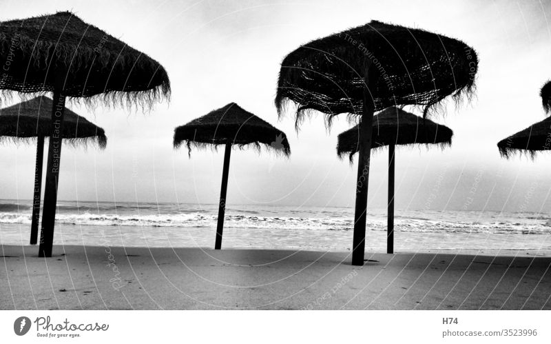 Straw umbrellas on the beach Black & white photo Beach Umbrellas & Shades Sand Ocean Water vacation White Vacation & Travel Exterior shot Waves Deserted Tourism