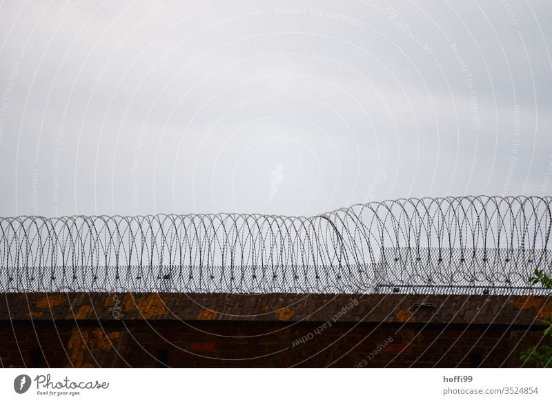 Barbed wire on the wall of a prison Barbed wire fence Penitentiary jail Fence Barrier Freedom Dangerous Border Threat Safety Protection Metal Captured Wire