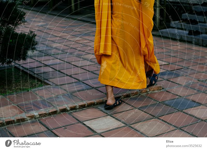 A Buddhist monk in traditional orange robe Monk Buddhism Religion and faith Asia Frock Monk's habit Ti-cîvara Orange Going foot Naked Sandals devout