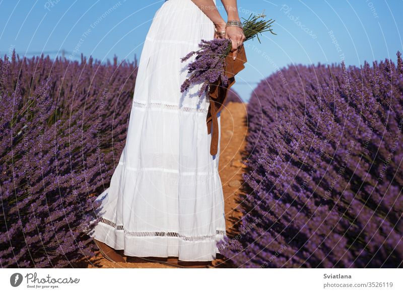 Beautiful girl in a white dress and hat in the style of boho in a lavender field with a bouquet of lavender flower background woman fashion floral sunset summer