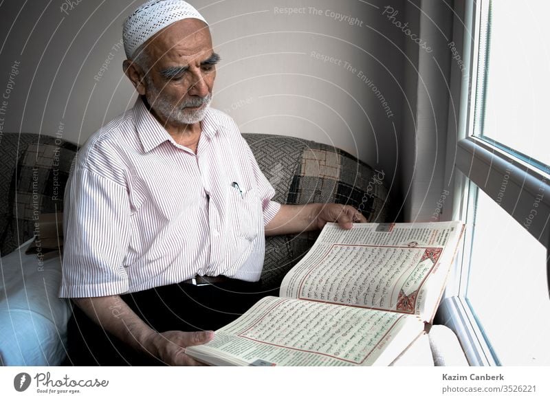 Wise old muslim man wearing taqiyah reads Turkish translation of Quran in passion wise qur'an islam quran koran skullcap window sitting beard religion turkey