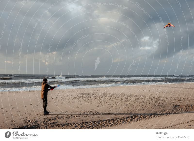 Man flying kites on the beach climb the kite Kite Gale Coast Beach Denmark Hvide Sands Young man North Sea North Sea coast Beach life Sandy beach Waves