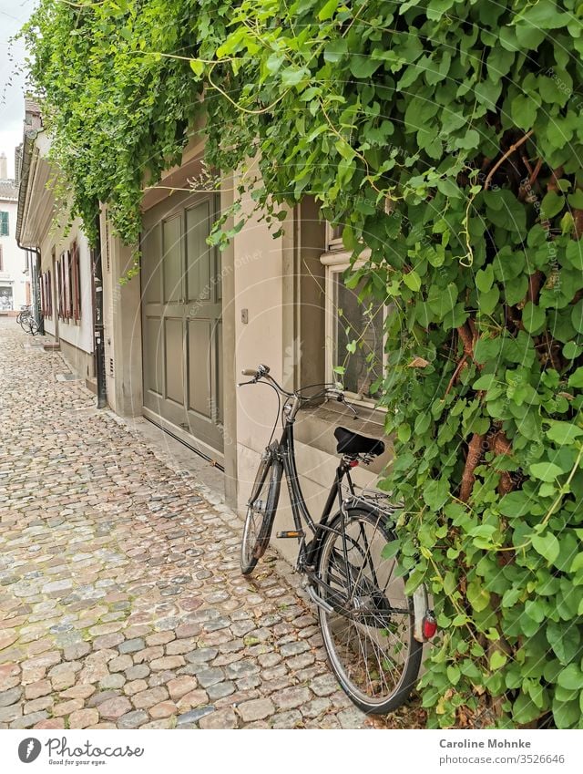 Bicycle on cobblestone pavement parked at an idyllic house entrance House (Residential Structure) Architecture idyllically plants overgrown wall-grown green