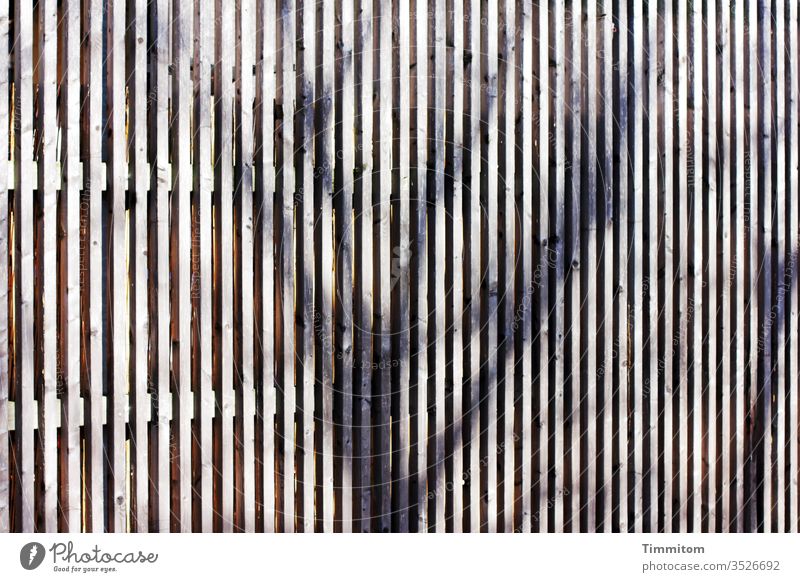The shadow of bare trees on a wooden screen Wood construction Shadow Bleak Exterior shot Deserted Light unostentatious Reduced Wooden strips Screening