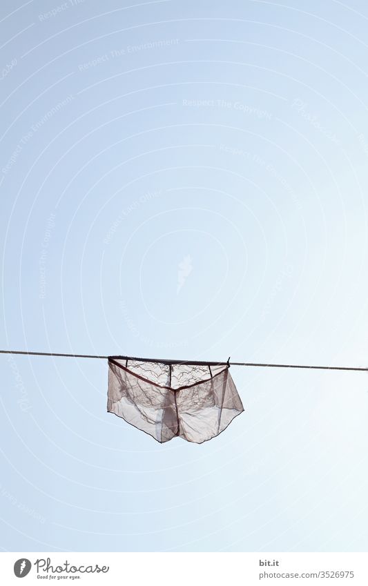 Charmingly she hangs there, close to the blue sky today. Laundry Delightful lingerie Sky Clothesline Dry Washing Washing day Household Clean Living or residing