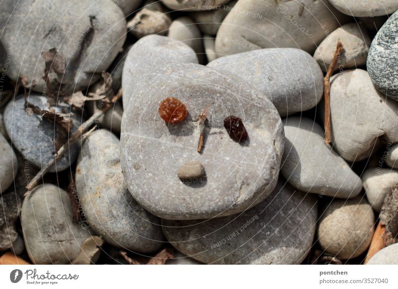 Rocks. A stone has a face of raisins and branches. Humor stones Face Raisins peer Mouth Nose Cute Playing Gray Exterior shot fantasy figure