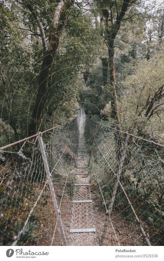 #AS# Bridge a different way Suspension bridge courageous Deserted hang Adventure jungles Exterior shot Hiking hikers Exit route One-way street Future