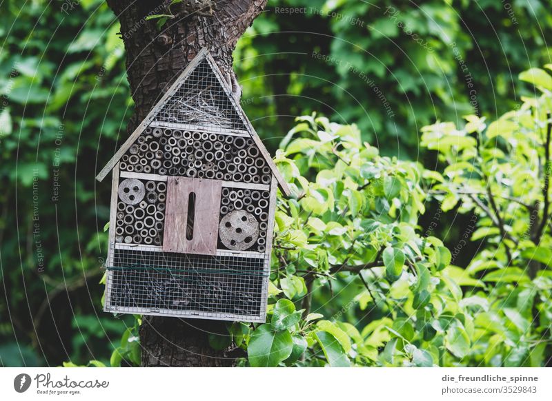Bee hotel in the garden bee hotel wasp Bumble bee Insect Summer Animal flowers Flying Nature Grand piano Garden Accommodation tree Idyll Exterior shot green