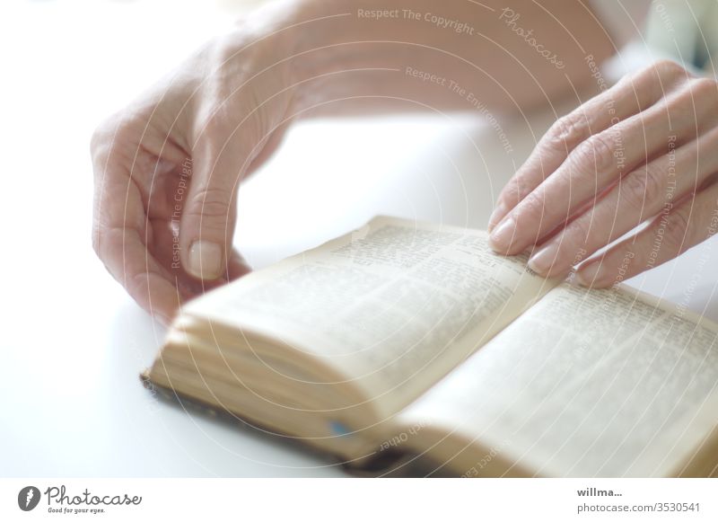 Reading in the Bible. Delicate hands leafing through a book. Book holy script Belief religion Christianity Purity Know slender Literature