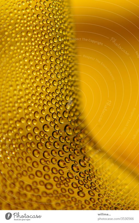 drinking water Drinking water Water water pearls Yellow air humidity Drops of water Wet elixir of life Bottle of water perspire Condensation Colour photo
