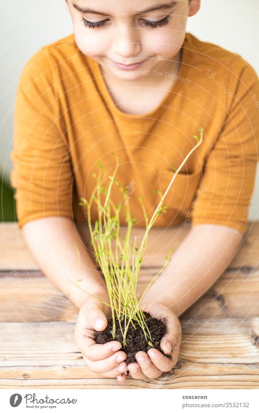 Kid's hands holding a young plant agricultural agriculture background beautiful beginning bokeh care child childhood children concept conservation cultivate