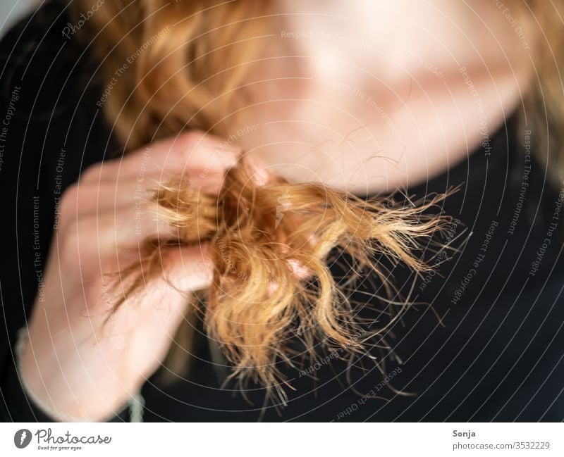 Close-up of long hair with split ends Long block Hair damage Hairdressing Blonde Lifestyle already by hand Woman youthful Partially Abschntt
