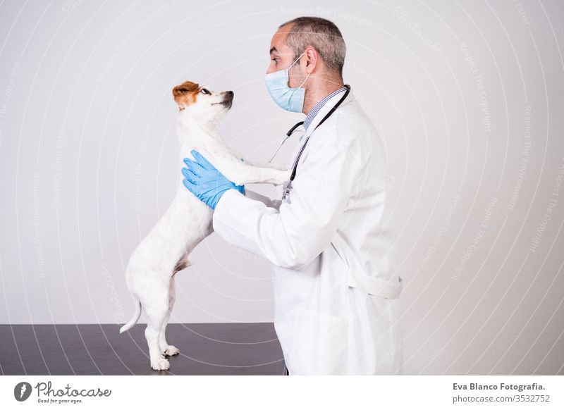 veterinarian man working on clinic with cute small jack russell dog. Wearing protective gloves and mask during quarantine. Man hugging dog .Pets healthcare