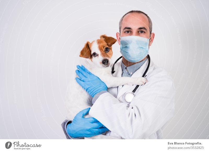 veterinarian man working on clinic with cute small jack russell dog. Wearing protective gloves and mask during quarantine. Using stethoscope.Pets healthcare