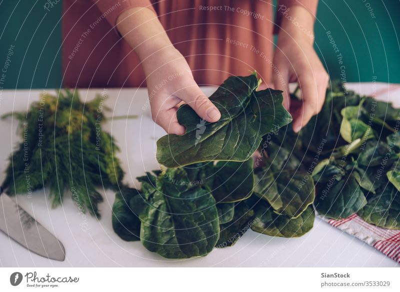 Woman holding spinach leaves cook botanical plant nutrient gourmet young eat health showing salad girl knife background close up ingredient eating lifestyle