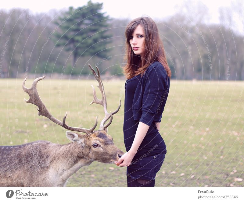 mr deer Feminine Young woman Youth (Young adults) 1 Human being 18 - 30 years Adults Nature Landscape Park Field Forest Animal Wild animal Feeding Colour photo