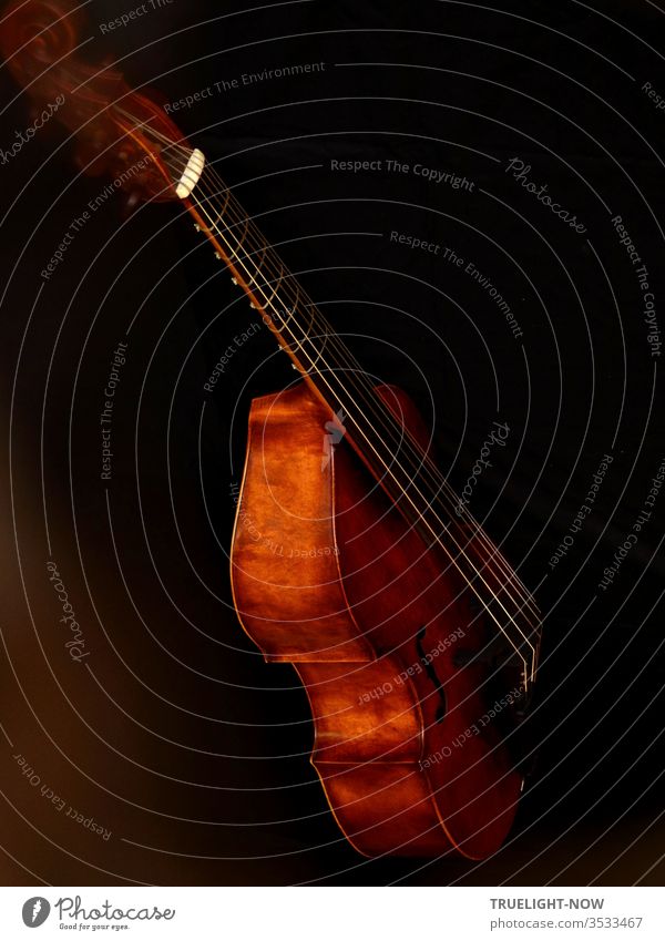 viola da gamba, also viola da gamba, in the master workshop of T. Muthesius string instrument stringed instrument partial view strings Footbridge Resonator wood