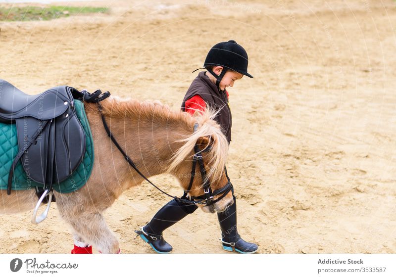 Happy little jockey leading pony boy arena training school equestrian happy dressage ground helmet suit kid child obedient loyal roan saddle bridle rein costume