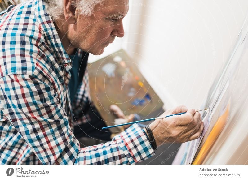 Focused aged man painting picture with brush artist paintbrush home inspiration draw concentrate palette oil easel paper studio hobby workshop gallery equipment