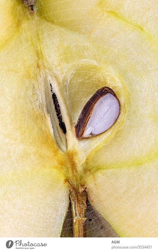 Extreme close-up of an apple with  core Food color image cut in half delicious fresh freshness from above fruit fruit flesh fruit pulp health healthy house