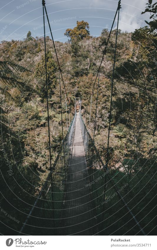#As# review bridge Suspension bridge New Zealand New Zealand Landscape Adventure Lanes & trails Crossing Traverse rainforest