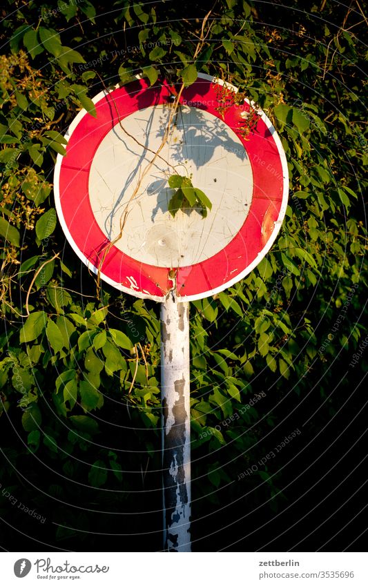 No passage in the evening sign Road sign No through road interdiction Rule Transport Traffic regulation Forest Park bush Twig Nature Hedge Evening Twilight