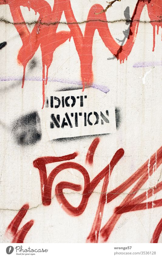 Idiot Nation - Graffito on a house wall spray Spray Colour Stencil technology Graffiti Wall (building) Colour photo Deserted Day Wall (barrier) Exterior shot