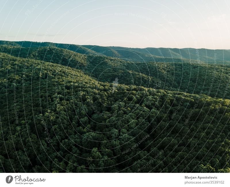 View of the beautiful forest in the mountains above aerial background beauty beech conservation countryside dawn day dusk ecology environment green greenery