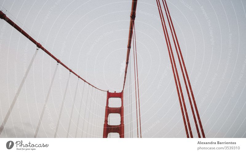 Bay Bridge #travel San Francisco bridge bay baybridge norcal northern california lines Photography film