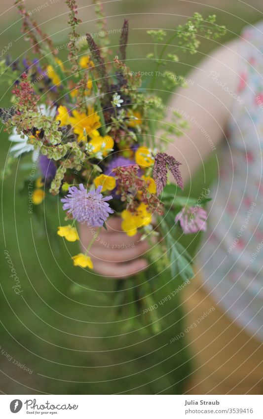 Child holds wildflower bouquet in his hand Bouquet flowers bleed Donate stop Toddler mother's day gift Mother's Day Birthday by hand Nature