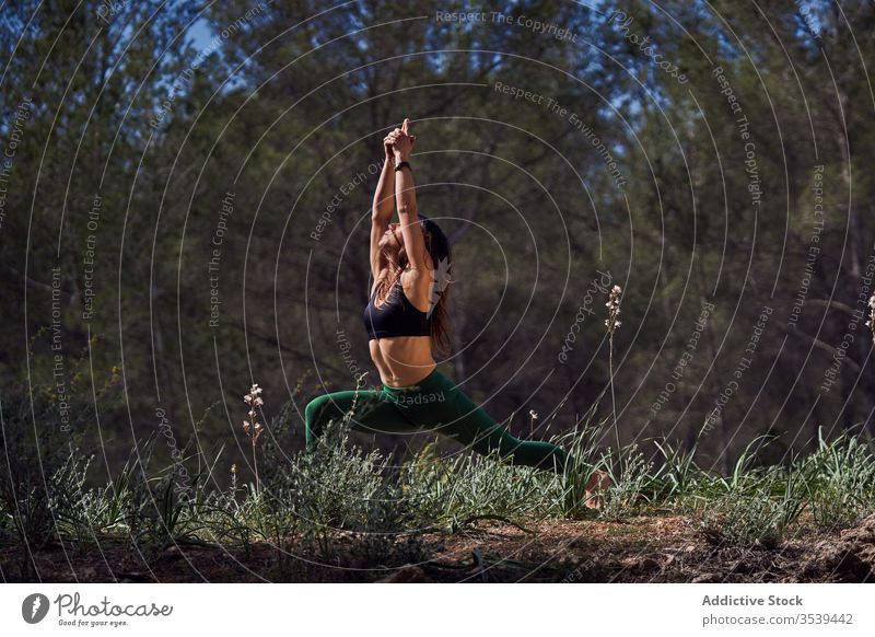 Full body of concentrated sportswoman in activewear practicing yoga in nature at daytime practice asana sun fit warrior pose lunge stretch stamina strength