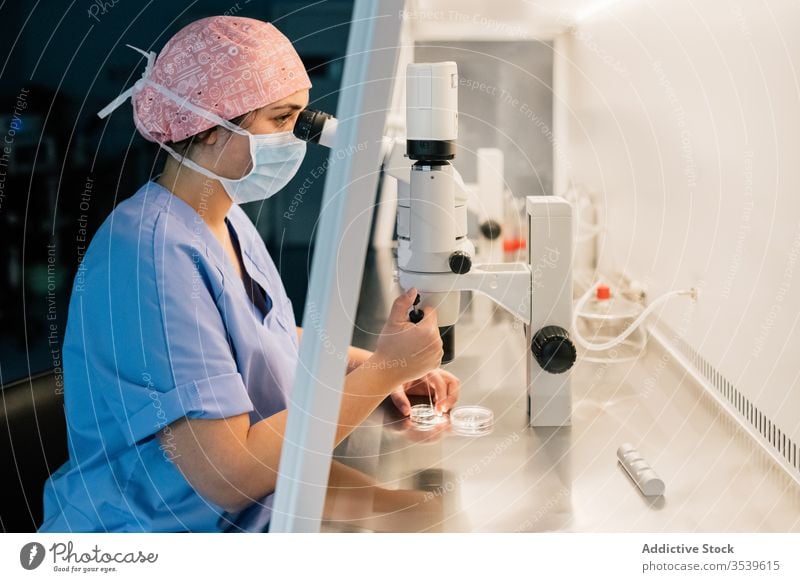 Woman in medical mask examining ovum through microscope woman doctor examine petri dish laboratory clinic inject uniform egg cell embryo modern medicine