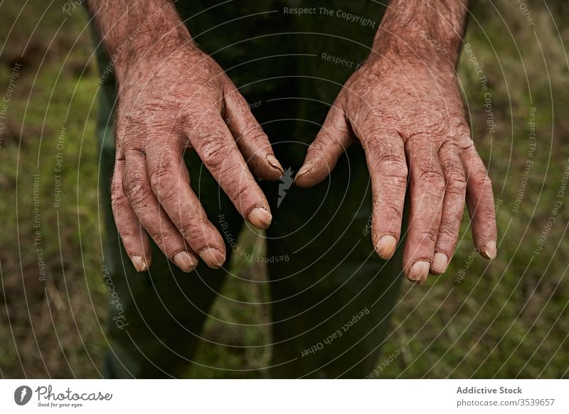 Crop hands of aged male worker man rough wrinkled labor tough manual el hierro canary islands farmland showing body old adult strong power senior mature big