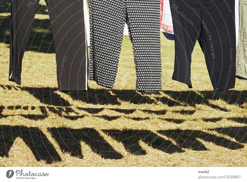 jacket like pants Laundry Hang Washing day Trousers Shadow Sunlight Pattern Dry clothesline Colour photo Clean Exterior shot Living or residing Hang up