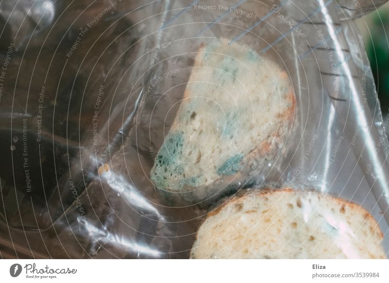 forgotten bread with green mould in a plastic bag Gray (horse) Bread Forget Plastic bag Old Bad Transience Food Bread for the break Throw away food poisoning