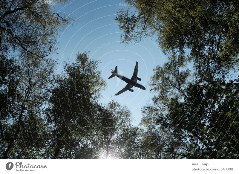 Airplane flies over forest, view through the treetops Exterior shot Forest Contrast climate crisis Environmental protection flight Nature Noise exhaust gases