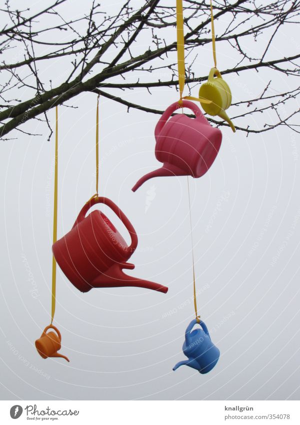 Pick one! Plant Sky Tree Watering can String Hang Exceptional Beautiful Uniqueness Multicoloured Emotions Joy Spring fever Design Colour Idea Creativity Nature