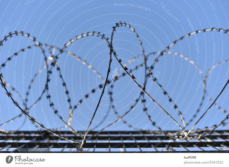 Barbed wire in front of a blue sky Barbed wire fence" NATO wire Wire netting fence Barrier Border Penitentiary Metal Protection Fence Bans Torture captivity