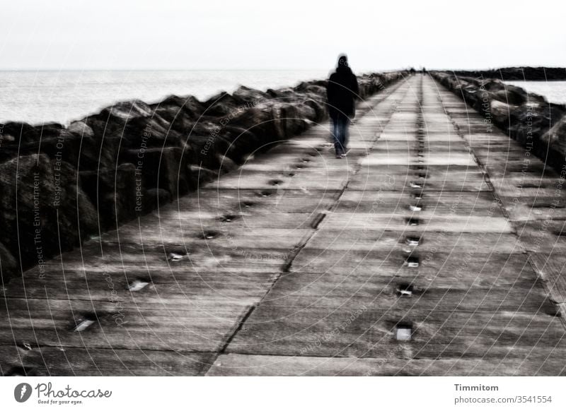 Going the distance... Mole off Target on one's own Human being Lanes & trails Perspective Exterior shot Denmark multiple exposure Loneliness North Sea Water