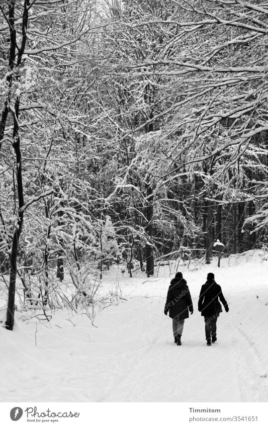 We Walk Together... Going people women Winter Snow Forest Lanes & trails tree Nature White Black Black & white photo To go for a walk