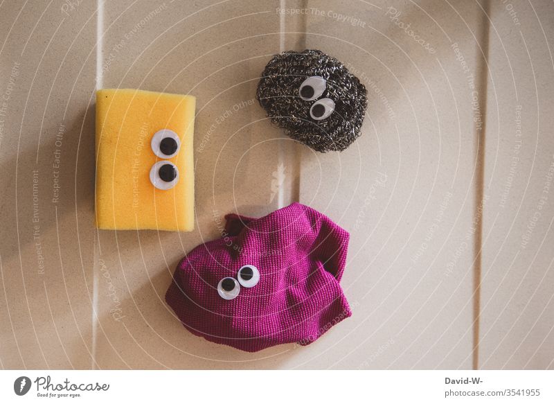 The kitchen trio - sponge rag and pot scourer Sponge kitchen sponge peer saucer-eyed wittily creatures Life Funny Idea Creativity creatively Bacterium faces